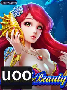 Explorando BubbleBeauty: Um Mergulho no Fascinante Mundo das Bolhas