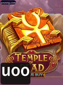 Descubra o Fascinante Mundo de 'Temple of Dead Bonus Buy'